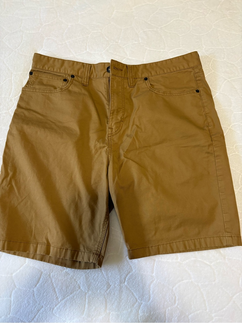 Prana Men's Flat Front Shorts in Brown
